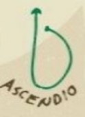 ascendio